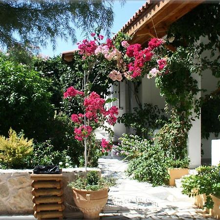 Ampelos Apartment And Studios Xerokampos  Luaran gambar