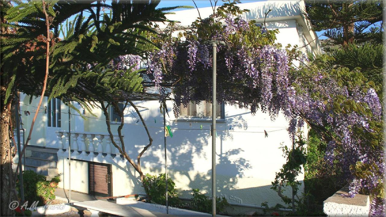 Ampelos Apartment And Studios Xerokampos  Luaran gambar